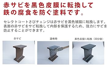 Amazon.co.jp: セレクトコート N300(さびチェンジ) 1kg 1 液常温